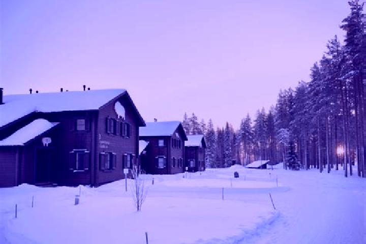 Aurora, 20 — Escort in Ranua, Finland