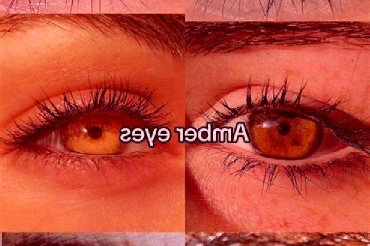 Aurora, 21, a chestnut amber-eyed mixed companion based in San Bartolome Tenango. Offering Couples, CIM, 69, Overnight, Roleplay. Available for incall and ou...