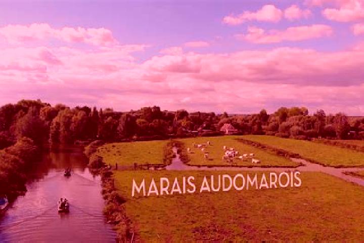 Aurora, 21 — Escort in Clairmarais, France
