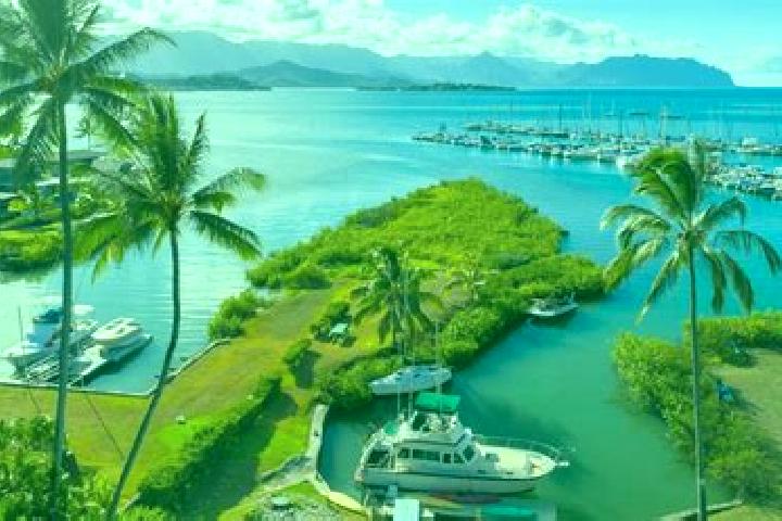 Aurora, 21 — Escort in Kaneohe, United States