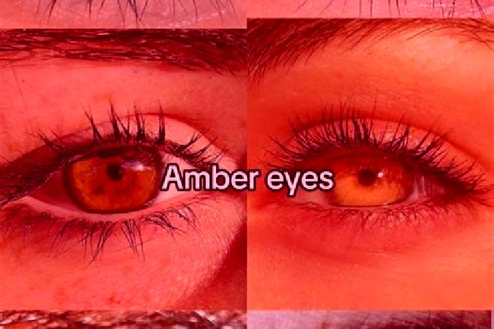 Aurora, 22, a chestnut amber-eyed mediterranean companion based in Heemskerk. Offering Overnight, Roleplay, Couples. Available for incall and outcall, overni...