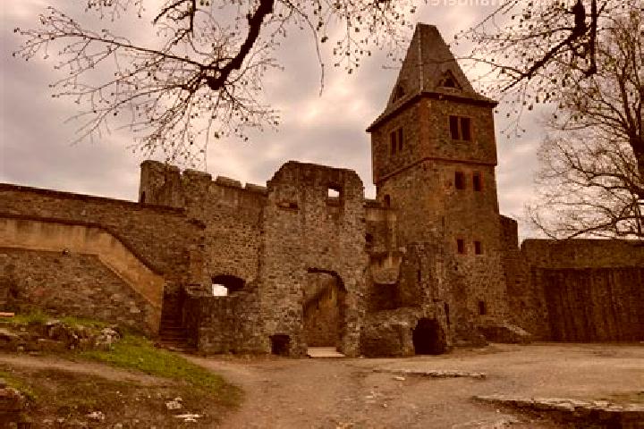 Aurora, 22 — Escort in Frankenstein, Germany