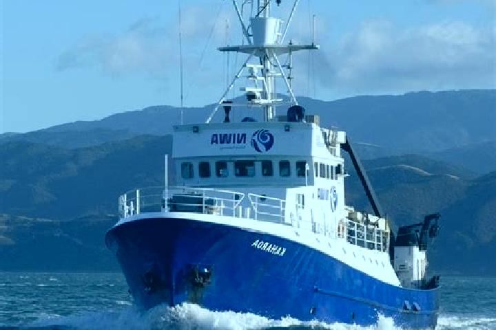 Aurora, 22 — Escort in Kaharoa, New Zealand