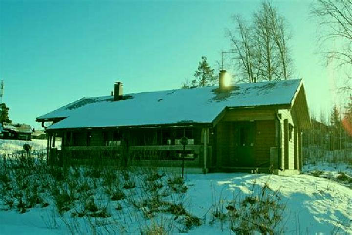 Aurora, 22 — Escort in Koivula, Finland