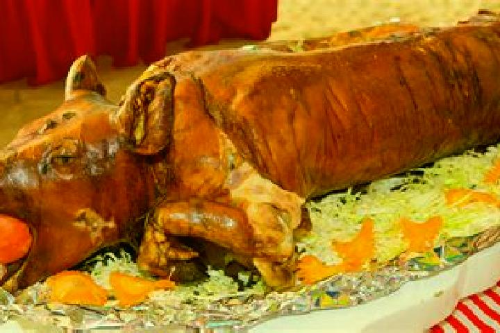 Aurora, 22 — Escort in Lechon, Spain