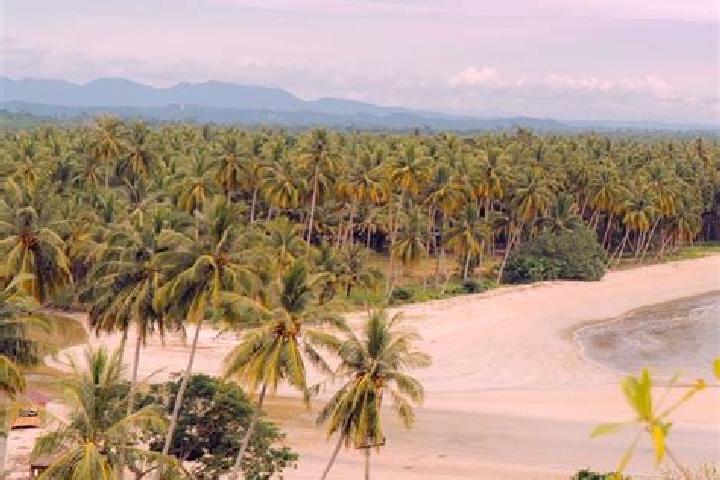 Aurora, 22 — Escort in Natal, Indonesia