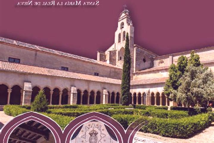 Aurora, 22 — Escort in Santa Maria la Real de Nieva, Spain