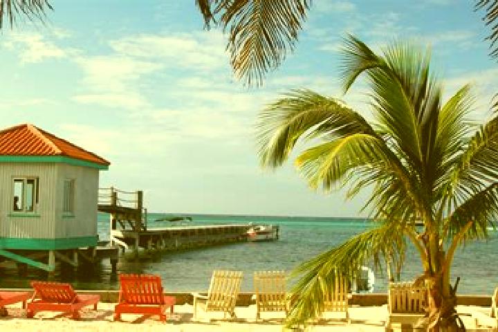 Aurora, 22 — Escort in Steadfast, Belize
