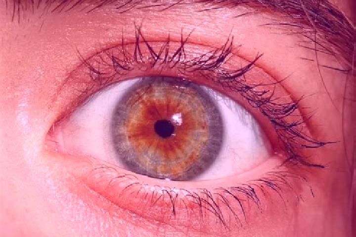Aurora, 23, a red hazel-eyed mediterranean companion based in Bajitpur. Offering A-Level, Domination, Couples, 69, Girlfriend Experience. Available for incal...