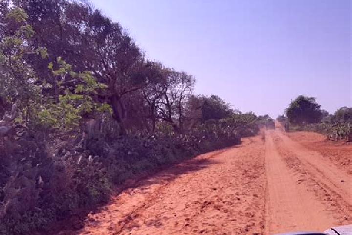 Aurora, 23 — Escort in Ambovombe, Madagascar