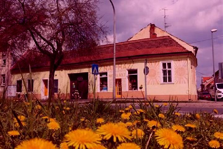 Aurora, 23 — Escort in Csorna, Hungary