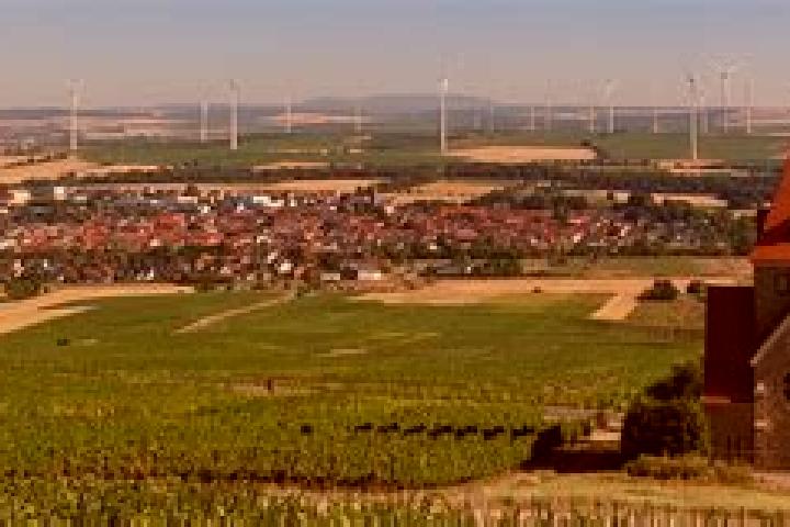 Aurora, 23 — Escort in Gau-Bickelheim, Germany