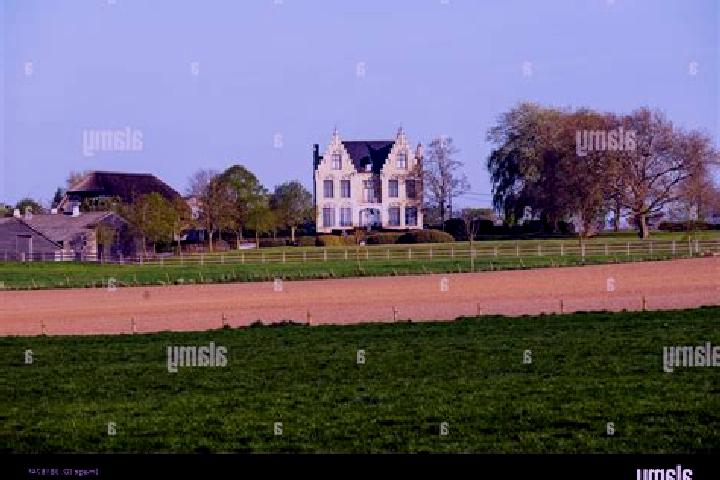 Aurora, 23 — Escort in Hollebeke, Belgium