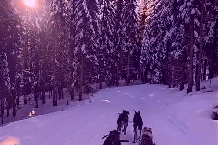 Aurora, 23 — Escort in Klaffer am Hochficht, Austria