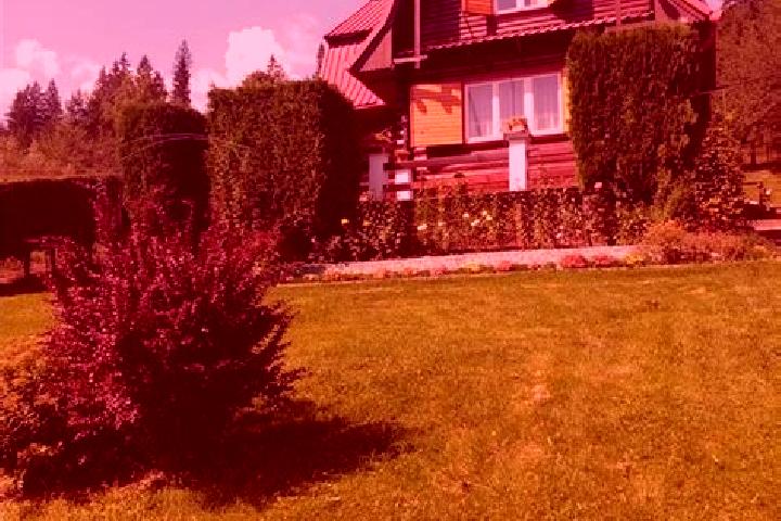 Aurora, 23 — Escort in Lunca Bradului, Romania