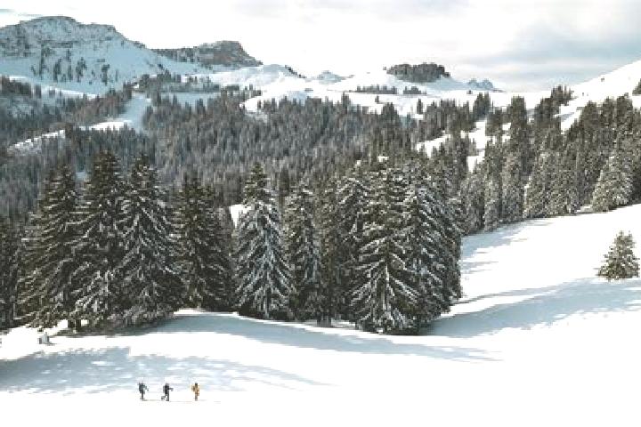 Aurora, 23 — Escort in Vuadens, Switzerland
