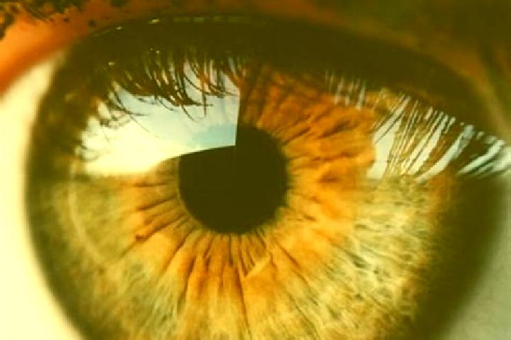 Aurora, 24, a auburn hazel-eyed indian companion based in Hook. Offering OWO, CIM, A-Level. Available for incall and outcall, day and evening dates.