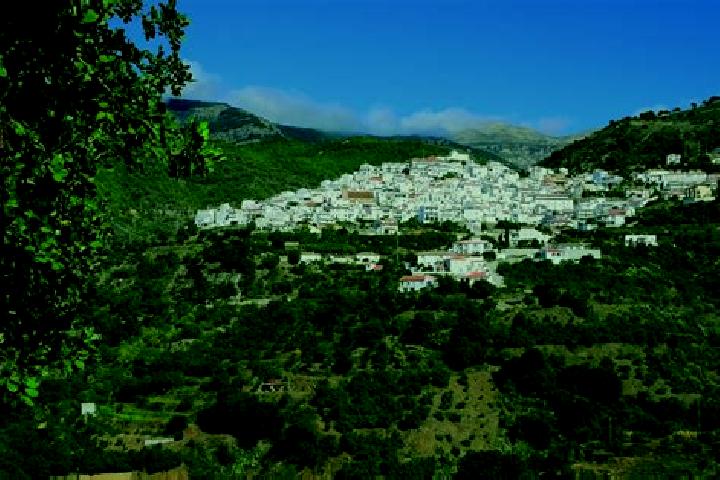 Aurora, 24 — Escort in Canillas de Albaida, Spain