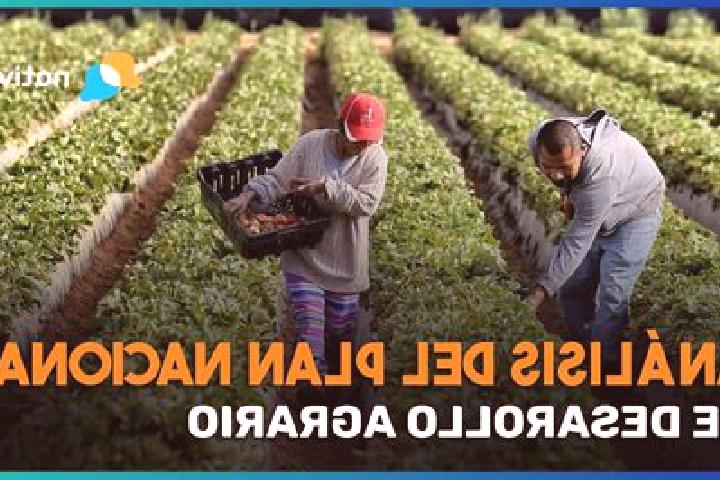 Aurora, 24 — Escort in Ejido Plan Nacional Agrario, Mexico