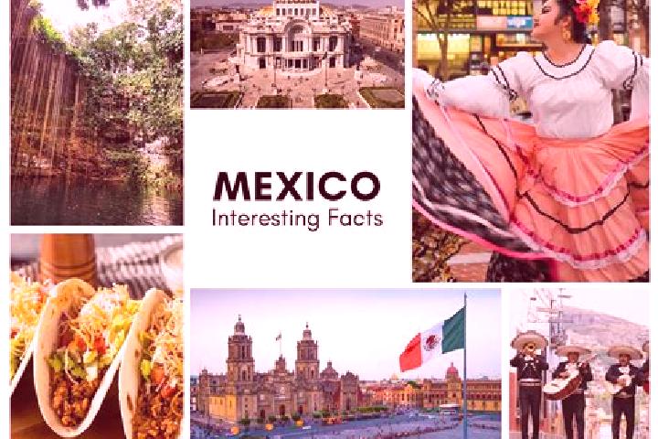 Aurora, 24 — Escort in Mesatunych, Mexico