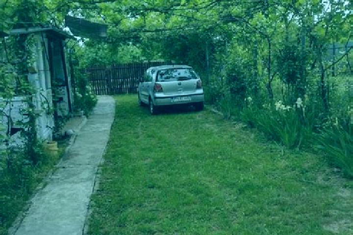 Aurora, 24 — Escort in Podenii Noi, Romania