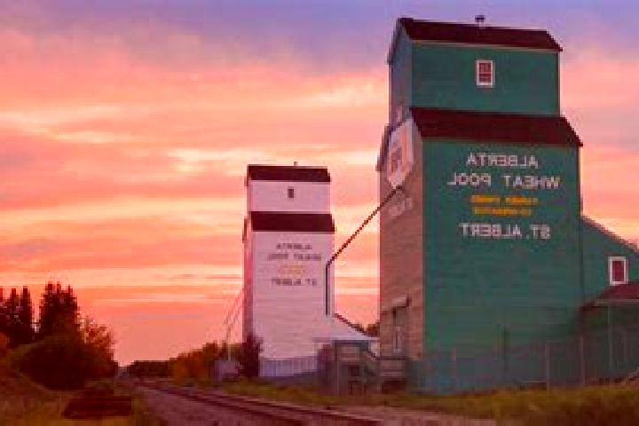 Aurora, 24 — Escort in St. Albert, Canada