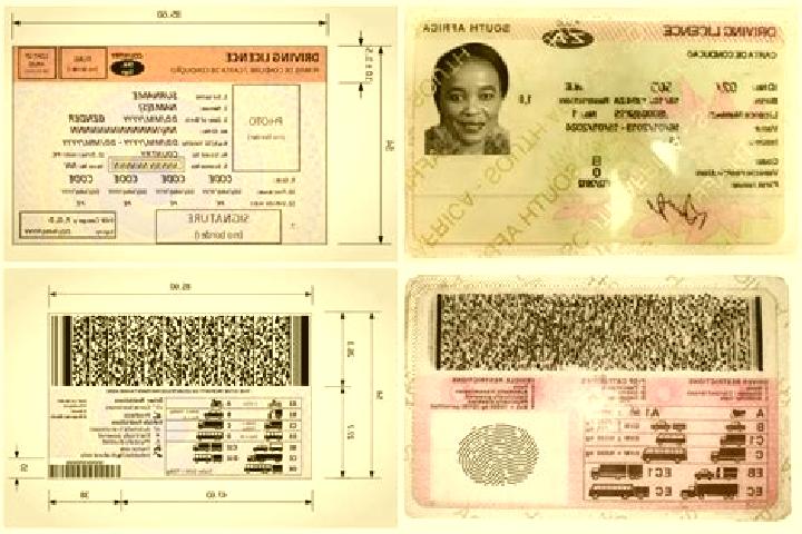 Aurora, 24 — Escort in Utlha B, South Africa