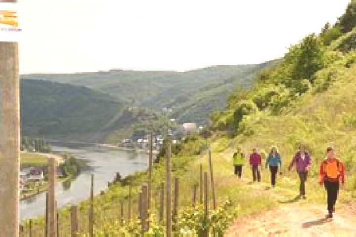 Aurora, 24 — Escort in Valwig, Germany