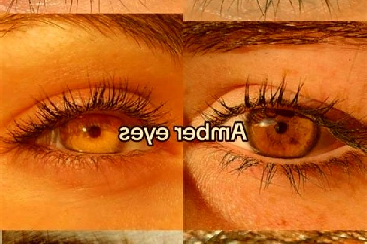 Aurora, 25, a chestnut amber-eyed caribbean companion based in Batroun. Offering Dinner Date, 69, Prostate Massage, Domination. Available for incall and outc...