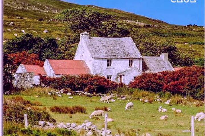 Aurora, 25 — Escort in Carrignavar, Ireland