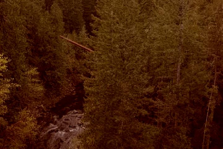 Aurora, 25 — Escort in Koksilah, Canada
