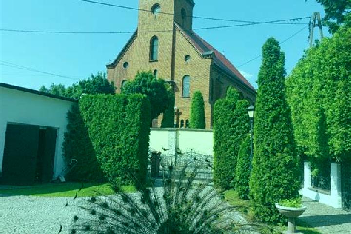 Aurora, 25 — Escort in Ostroznica, Poland