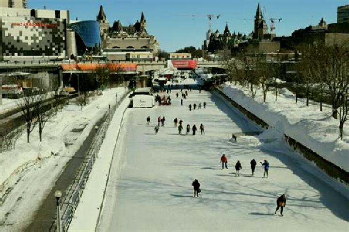 Aurora, 25 — Escort in Rideau Park, Canada