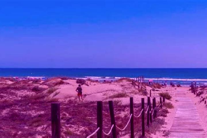 Aurora, 26 — Escort in Guardamar del Segura, Spain
