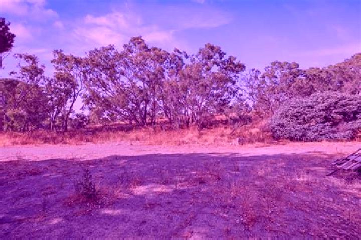 Aurora, 26 — Escort in Nairne, Australia