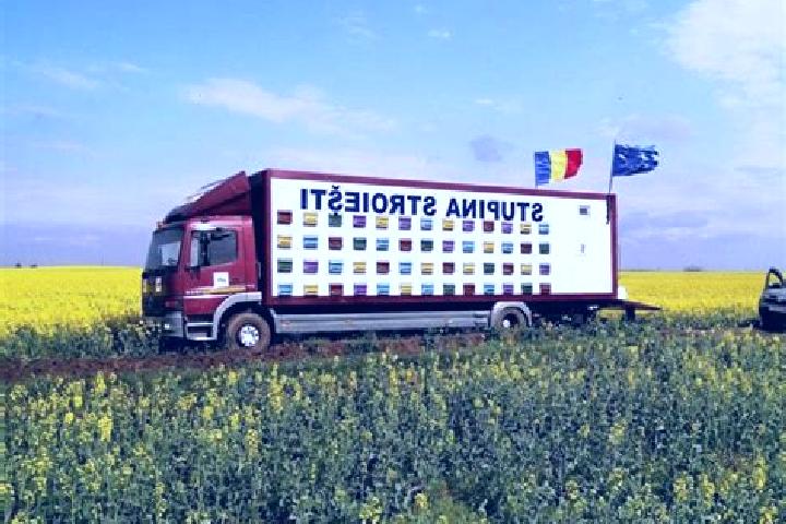 Aurora, 26 — Escort in Stupina, Romania