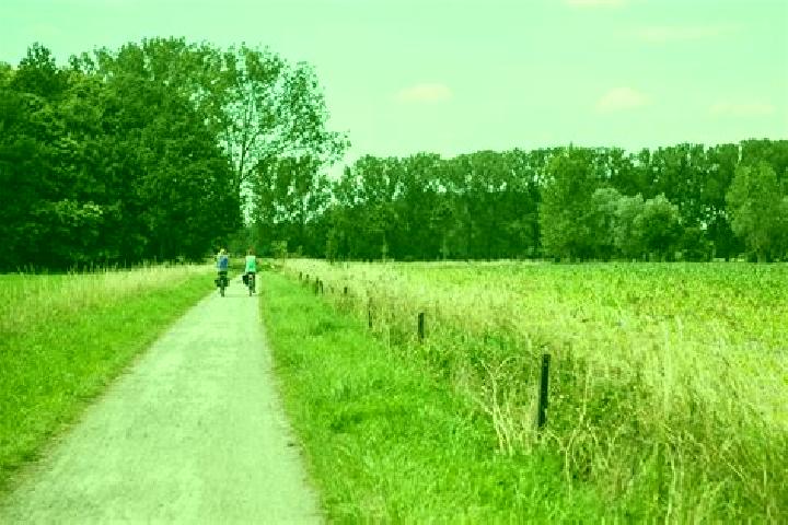 Aurora, 26 — Escort in Waarmaarde, Belgium