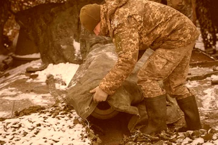 Aurora, 26 — Escort in Yar, Russia