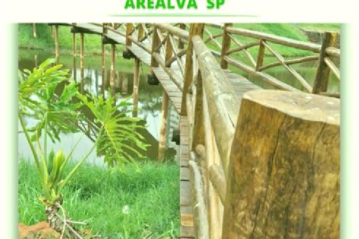 Aurora, 27 — Escort in Arealva, Brazil