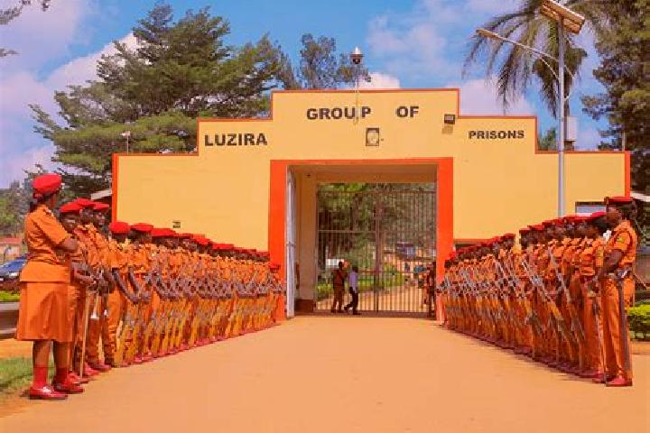 Aurora, 27 — Escort in Bulambuli, Uganda