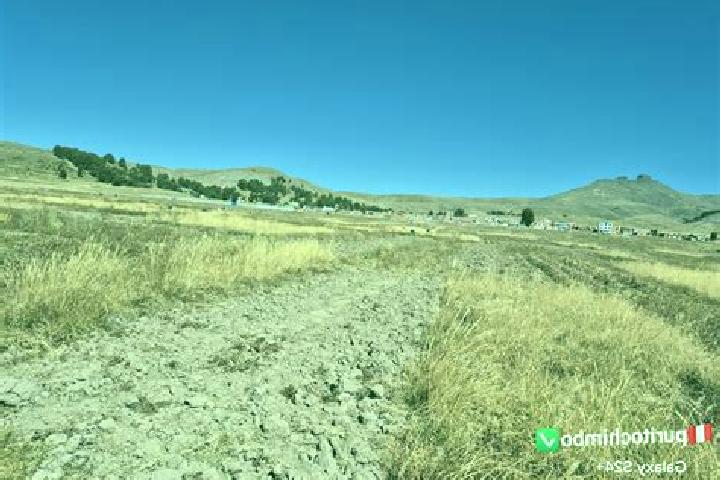 Aurora, 27 — Escort in Chimbo, Peru