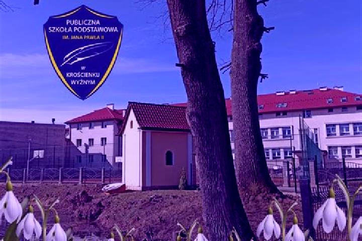 Aurora, 27 — Escort in Kroscienko Wyzne, Poland