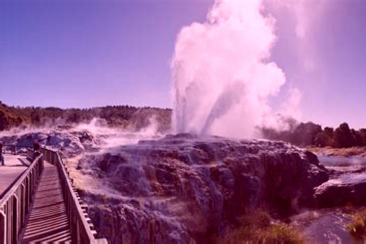 Aurora, 27 — Escort in Rotorua, New Zealand