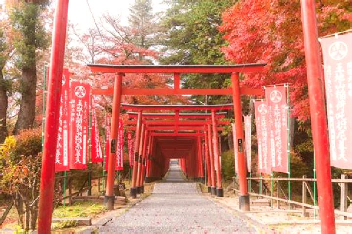 Aurora, 27 — Escort in Tamba-Sasayama, Japan