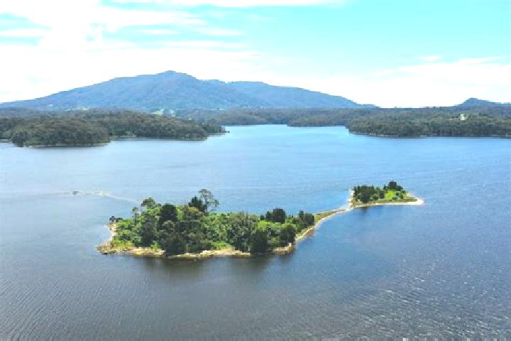 Aurora, 27 — Escort in Wallaga Lake, Australia