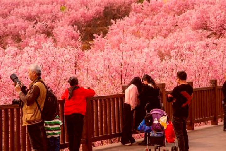 Aurora, 27 — Escort in Yaojia, China