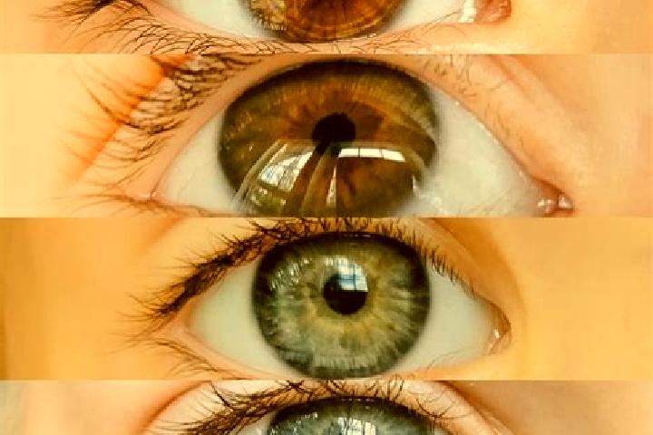Aurora, 28, a chestnut hazel-eyed mediterranean companion based in Boukadir. Offering Travel Companion, OWO, Tantra. Available for incall and outcall, day an...