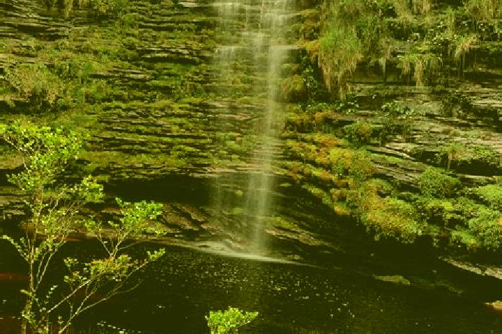 Aurora, 28 — Escort in Cachoeira, Brazil