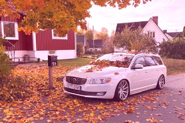 Aurora, 28 — Escort in Kinna, Sweden