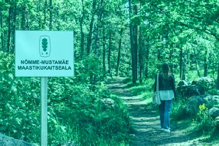 Aurora, 28 — Escort in Mustamaee, Estonia